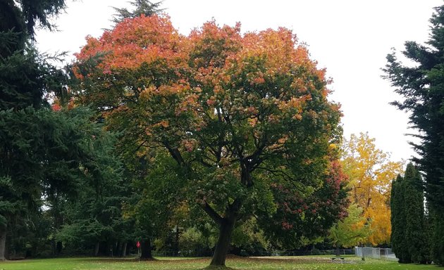 Photo of Green Lake Pitch & Putt