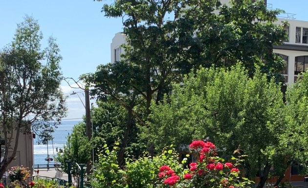 Photo of Belltown P-Patch Community Gardens