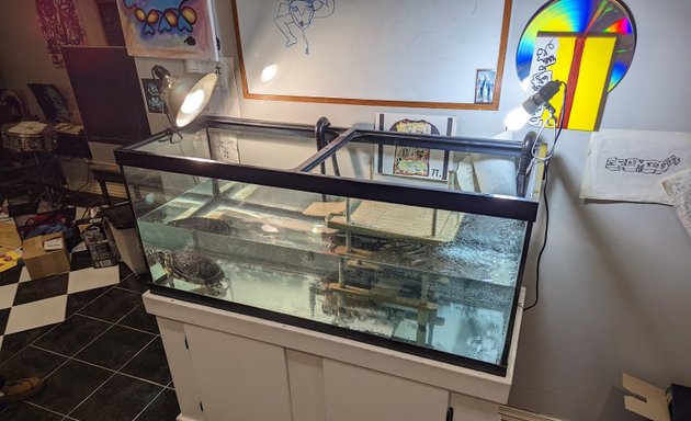 Photo of Reef Ryders Aquarium Service And Maintenance
