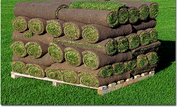 Photo of GTA Sod - Toronto Landscaping