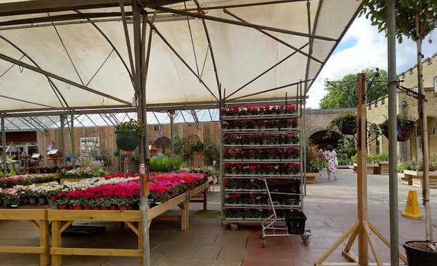 Photo of Hillier Garden Centre Syon Park