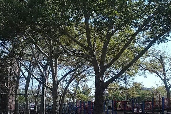 Photo of Playground 103 CIII