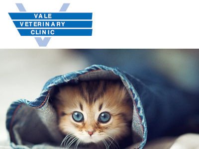 Photo of Vale Veterinary Clinic
