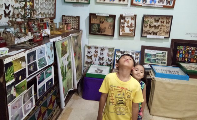 Photo of Jumalon Butterfly Sanctuary And Art Gallery