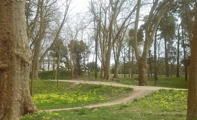 Foto de Parque de Castrelos
