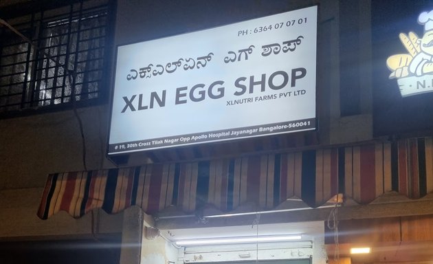 Photo of XLN Egg Shop