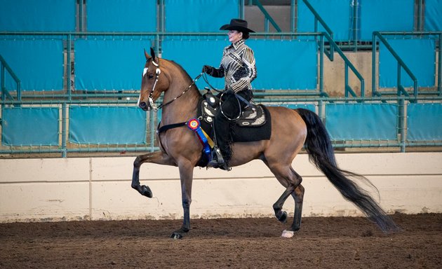 Photo of Golden Glen Stables