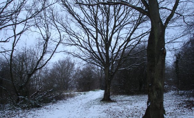 Photo of Grove Park Nature Reserve