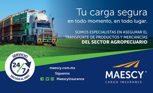 Foto de Maescy Cargo Insurance