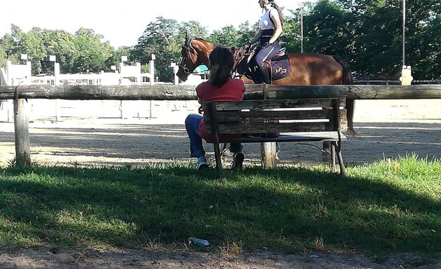 foto Excalibur Equestrian Centre