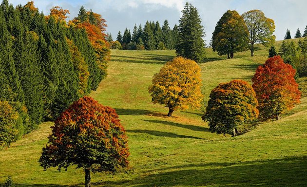 Foto von Naturkraft Schamanismus