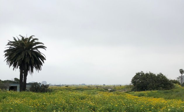 Photo of Ballona Saltwater Marsh and Dunes