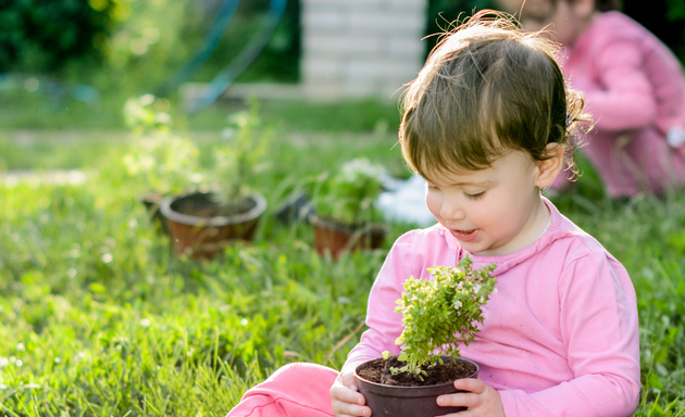 Photo of Little Learners Village Community Garden