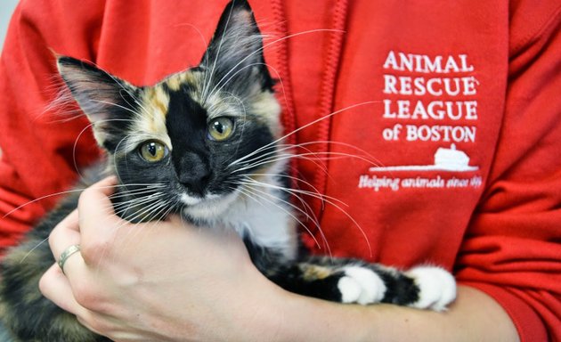 Photo of Animal Rescue League of Boston