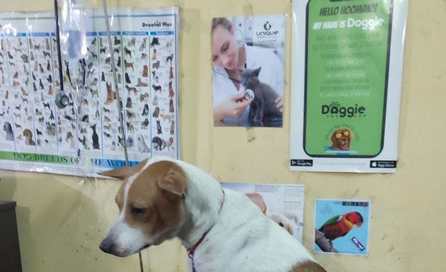 Photo of Dr. Rahul's Pet Health Clinic