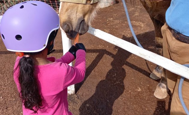 Foto de Equinopasion Peruana