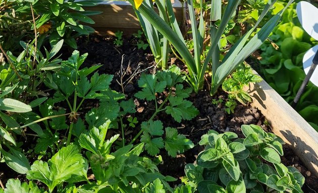 Photo of Essendon Community Gardens