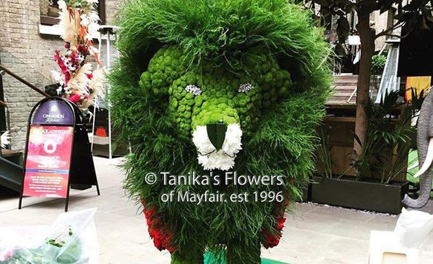 Photo of Tanikas Flowers Ltd