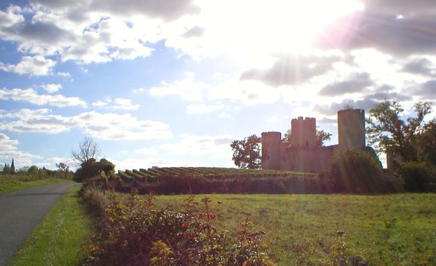 Photo de Evazio | Cyclotourisme France | Voyages à Vélo | Randonnées pédestres | Weekends Oenologie