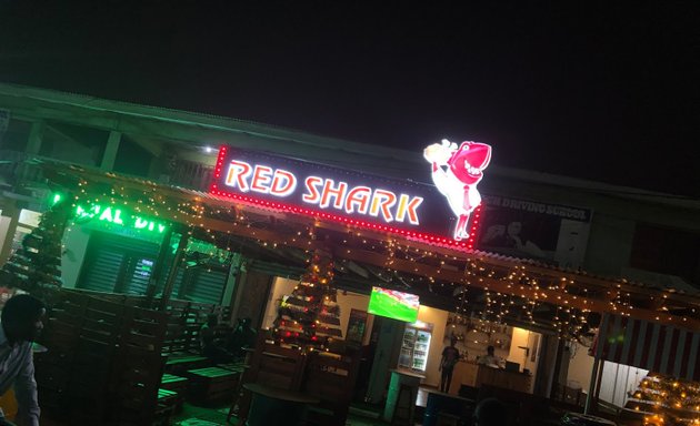 Photo of Red shark