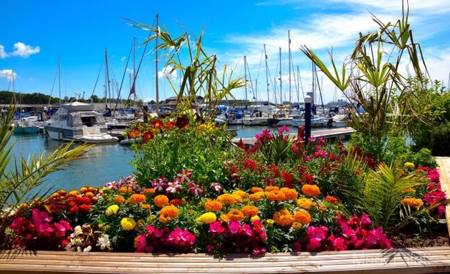 Photo of Shamrock Quay