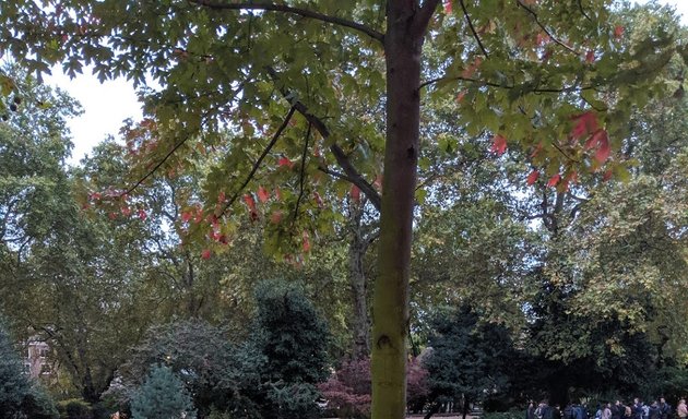 Photo of Lincoln's Inn Private Gardens