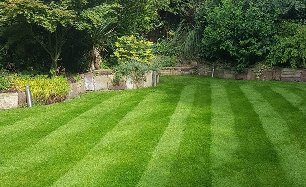 Photo of Cheshire Lawn Doctor