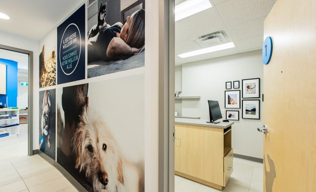 Photo of Globalvet - Clinique vétérinaire de la Promenade inc.
