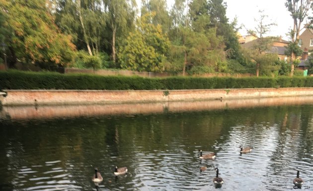 Photo of Carshalton Ponds