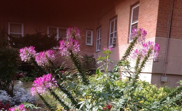 Photo of New York City Housing Authority's South Jamaica I