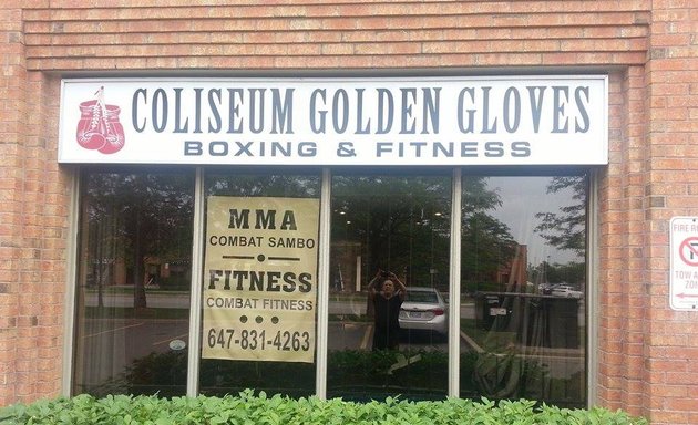 Photo of Golden Gloves Fitness Inc.