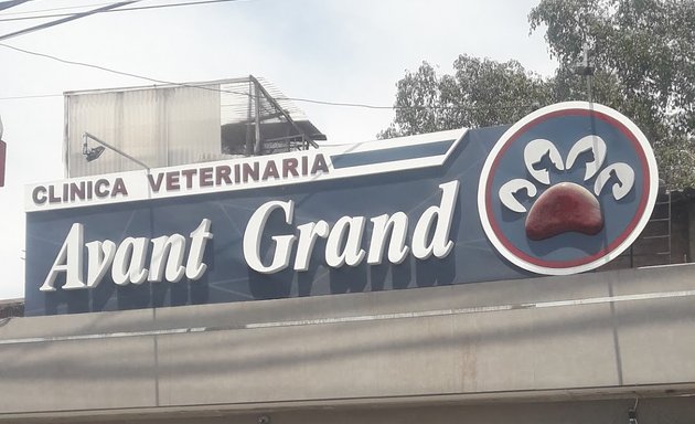 Foto de Avant Grand Veterinaria