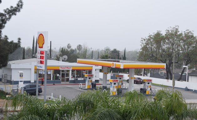 Photo of Shell