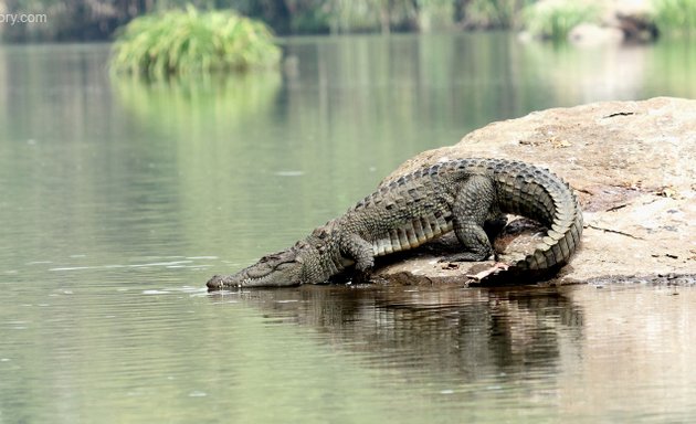 Photo of My Clicks Story (By Anand Y)