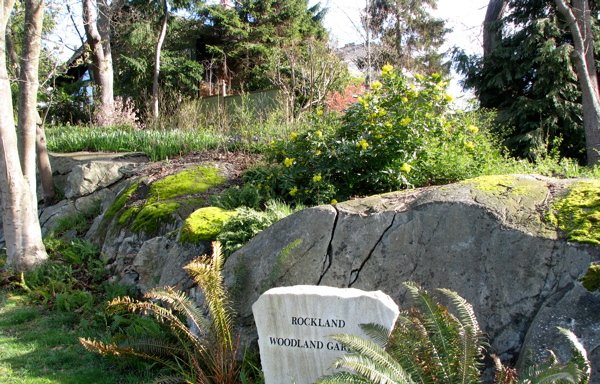 Photo of Rockland Woodland Garden