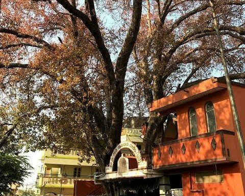 Photo of Sri Shirdi Sai Baba Mandir