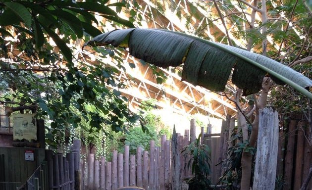 Photo of African Rainforest Pavilion