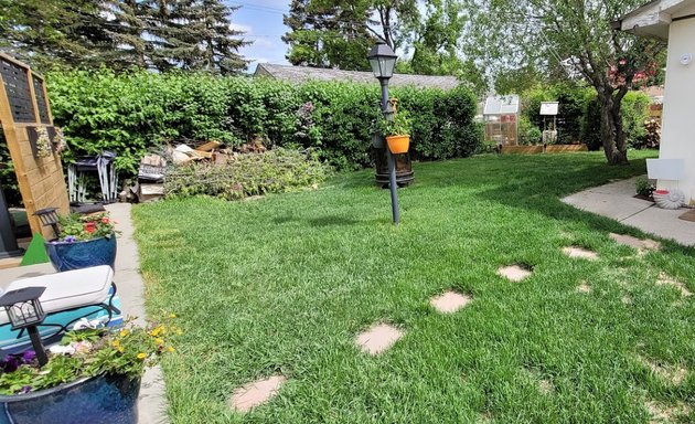 Photo of Madgrass lawn care
