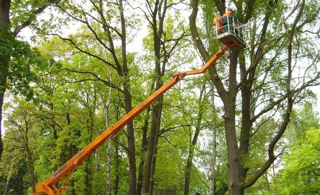 Foto von A- Z Garten- und Landschaftspflege GmbH