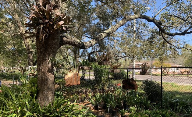 Photo of Faye's Place Plant Nursery