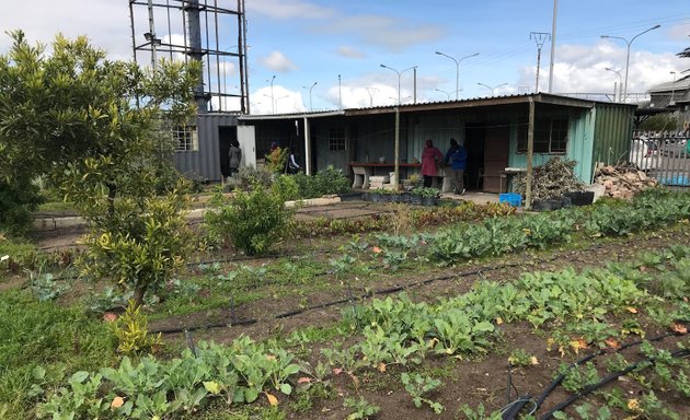 Photo of Asande Community Garden
