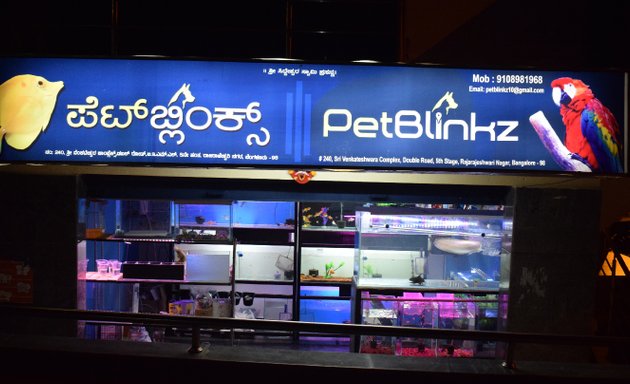 Photo of PetBlinkz