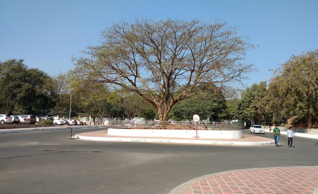 Photo of PMC Park