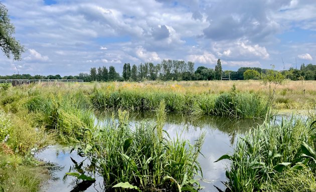 Photo of Perivale Park ponds