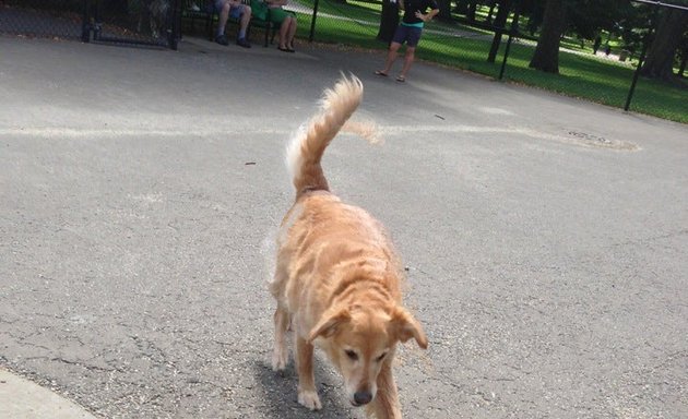 Photo of River Park Dog Friendly Area