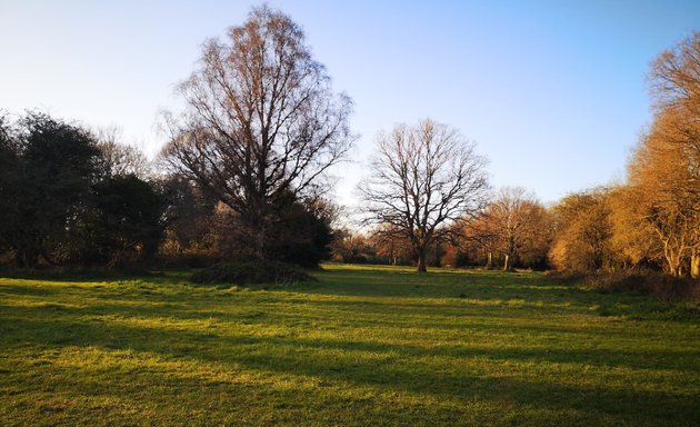 Photo of Coulsdon Common