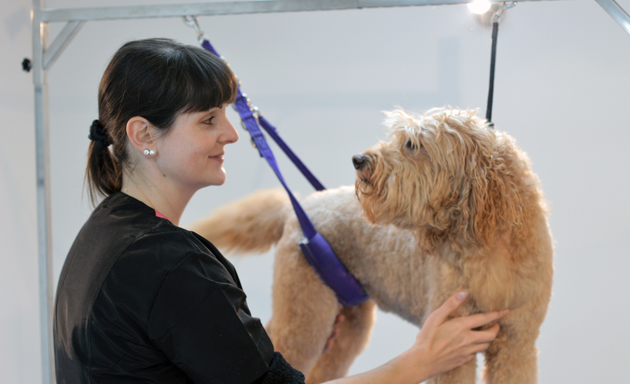 Photo of Clifton Dog Grooming
