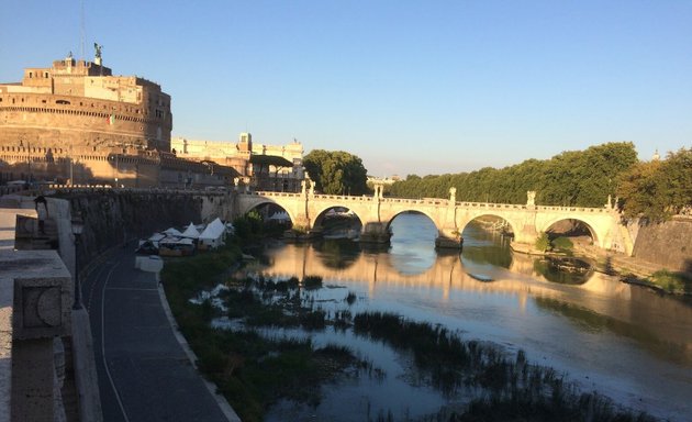 foto Steelers Rome