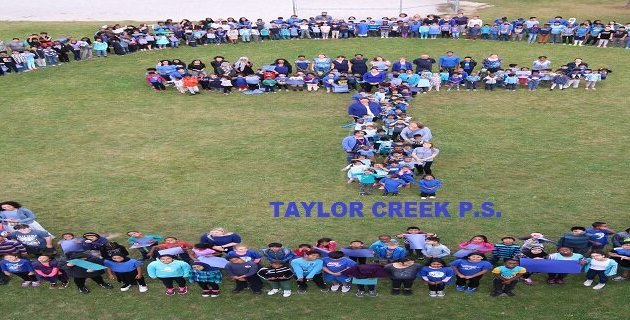 Photo of Taylor Creek Public School