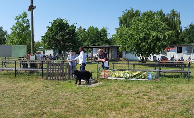 Foto von PSK-Berlin-Birkenwerder e.V.